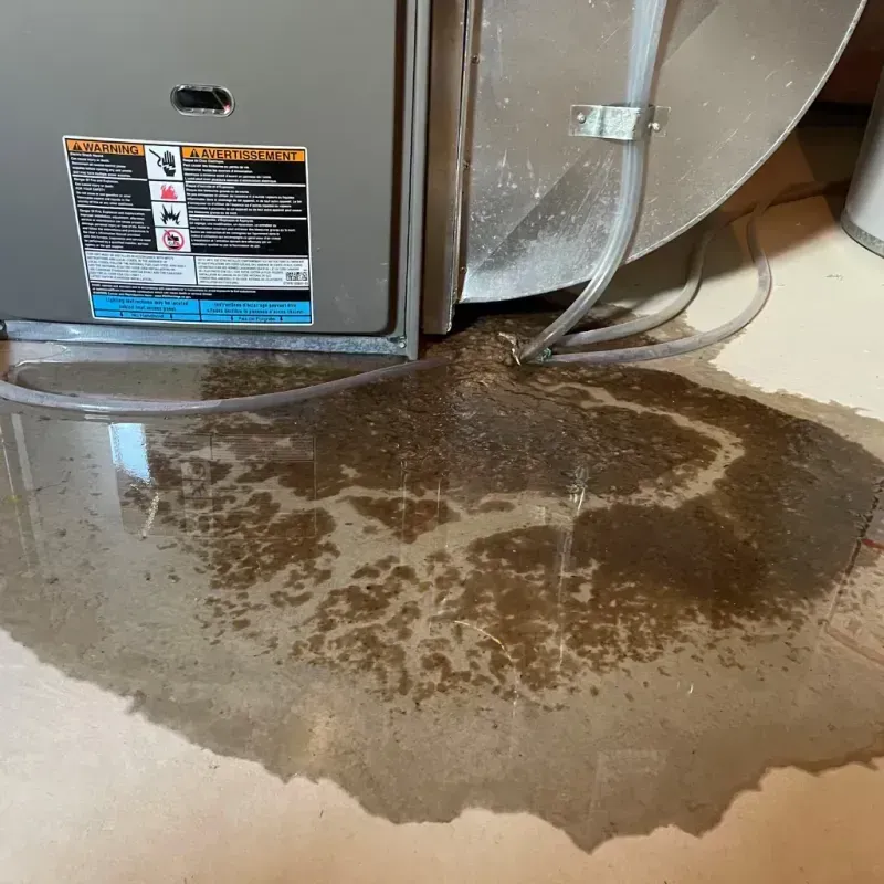 Appliance Leak Cleanup in Gibson City, IL